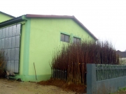 vocne_sadnice_019.jpg