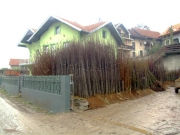 vocne_sadnice_022.jpg