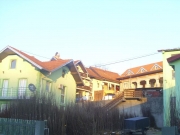 vocne_sadnice_029.jpg