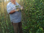 vocne_sadnice_058.jpg